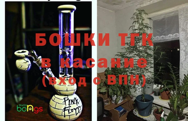 сатива Алзамай