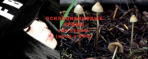 сатива Алзамай