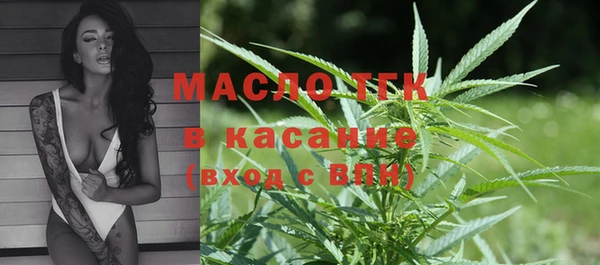 сатива Алзамай